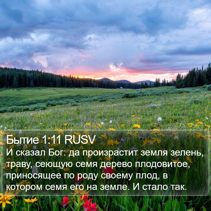 Бытие 1:11 RUSV Bible Study