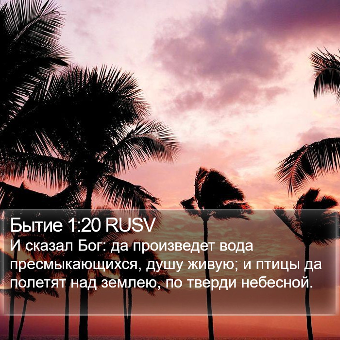 Бытие 1:20 RUSV Bible Study