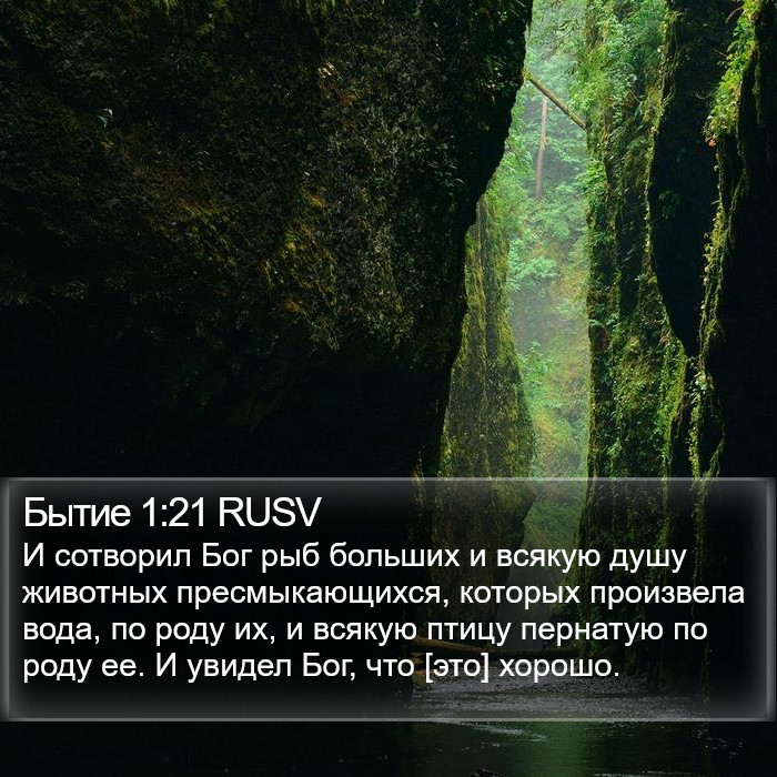 Бытие 1:21 RUSV Bible Study