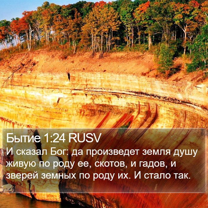 Бытие 1:24 RUSV Bible Study