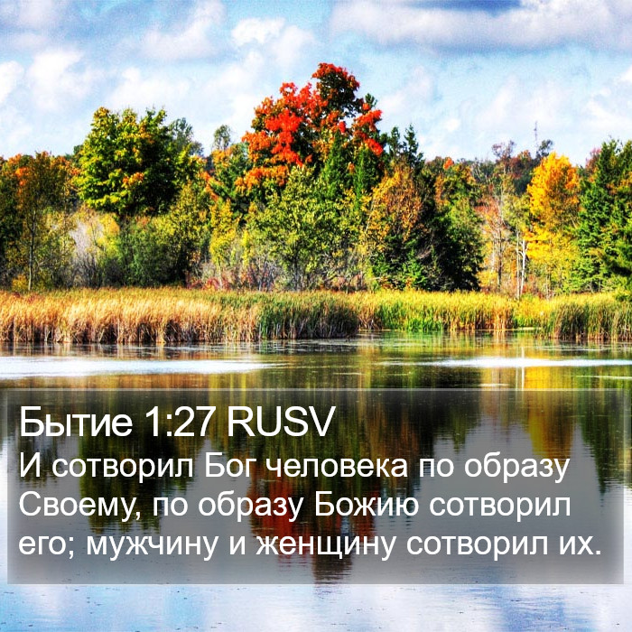 Бытие 1:27 RUSV Bible Study