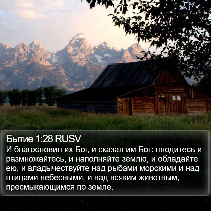 Бытие 1:28 RUSV Bible Study