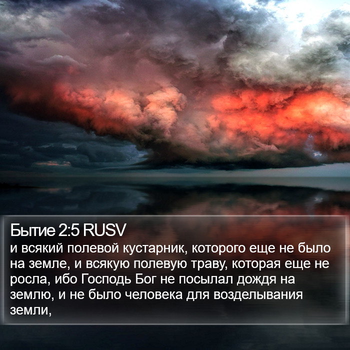 Бытие 2:5 RUSV Bible Study