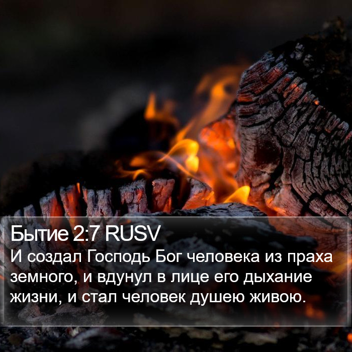 Бытие 2:7 RUSV Bible Study