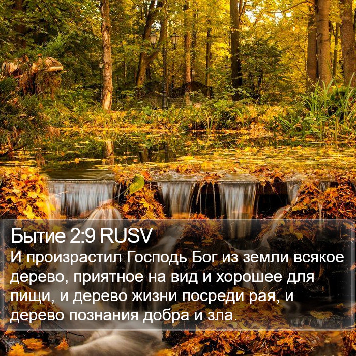 Бытие 2:9 RUSV Bible Study