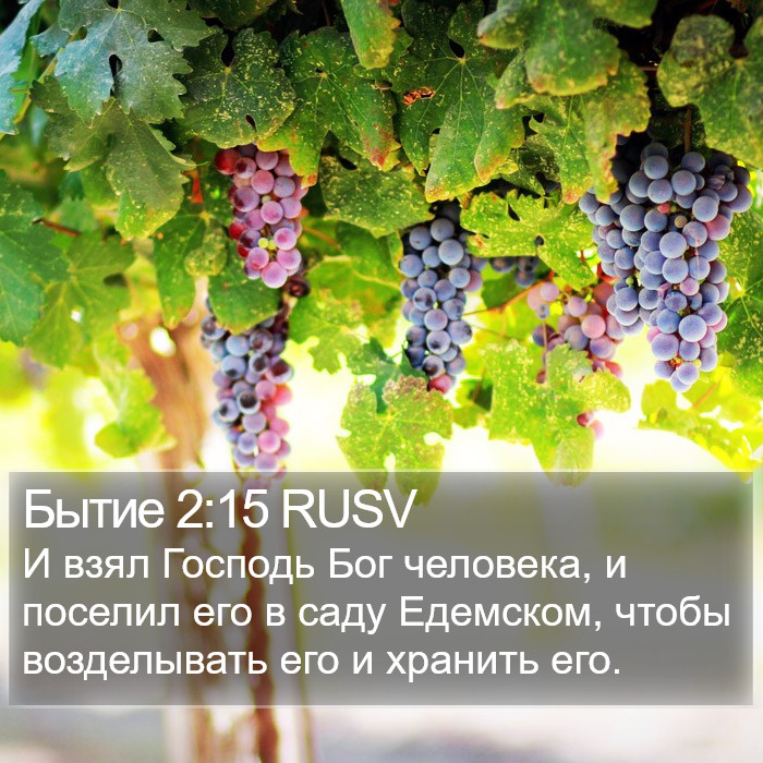 Бытие 2:15 RUSV Bible Study