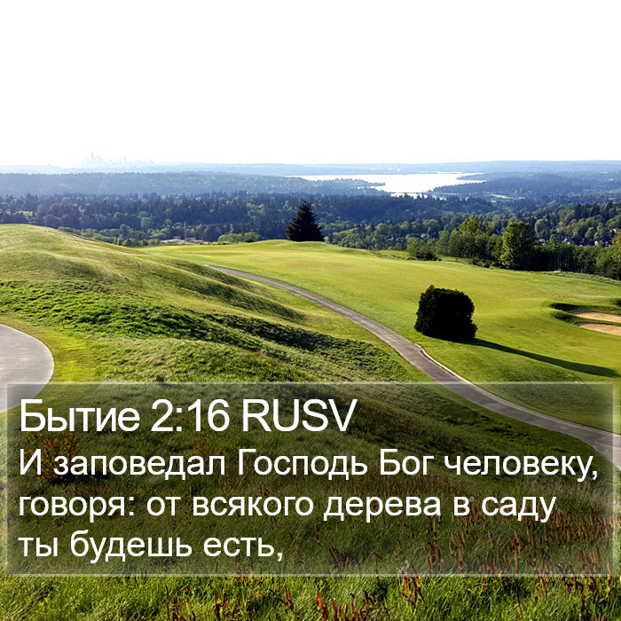 Бытие 2:16 RUSV Bible Study