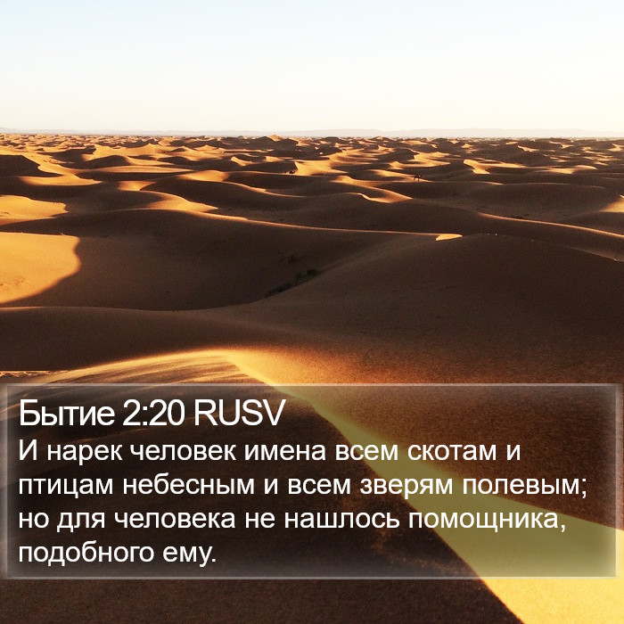 Бытие 2:20 RUSV Bible Study