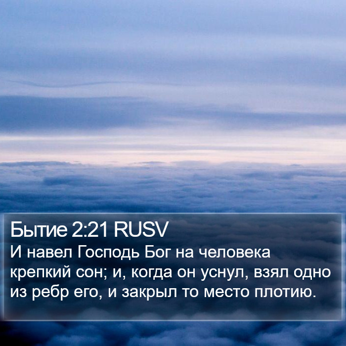 Бытие 2:21 RUSV Bible Study