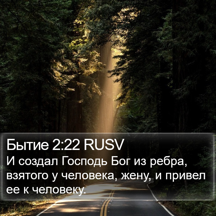 Бытие 2:22 RUSV Bible Study