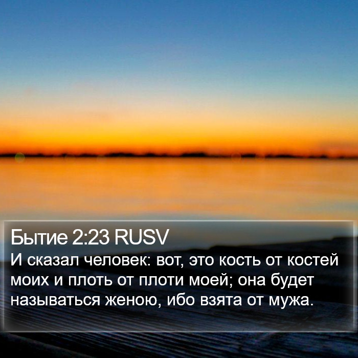 Бытие 2:23 RUSV Bible Study