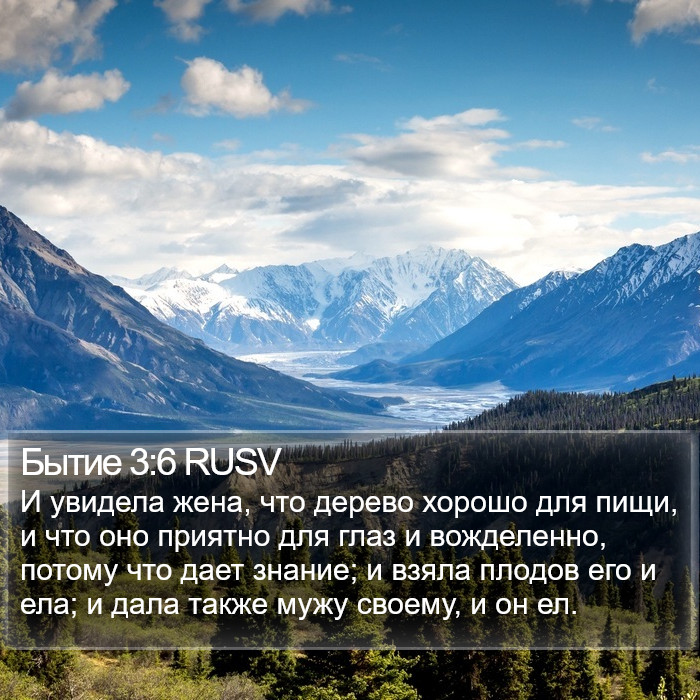 Бытие 3:6 RUSV Bible Study