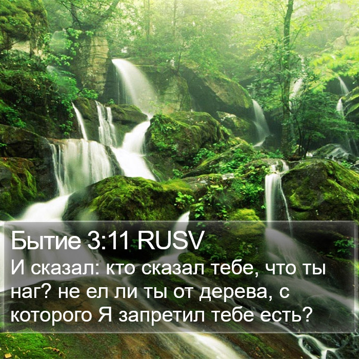 Бытие 3:11 RUSV Bible Study