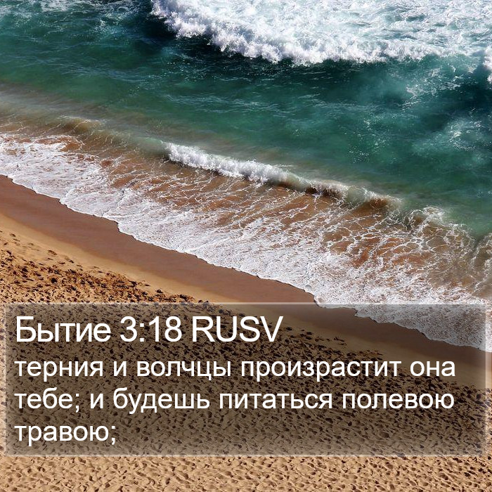 Бытие 3:18 RUSV Bible Study