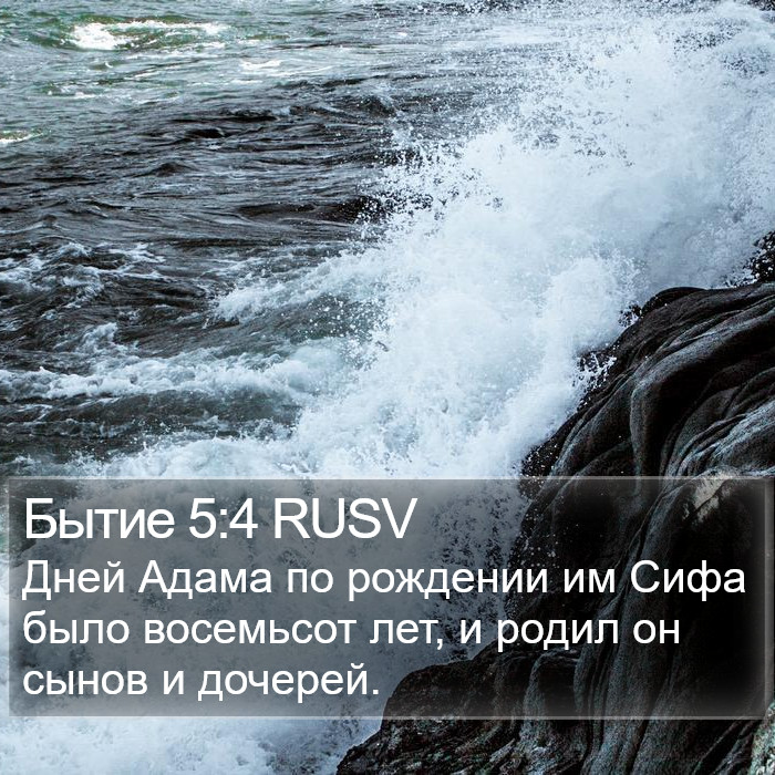 Бытие 5:4 RUSV Bible Study