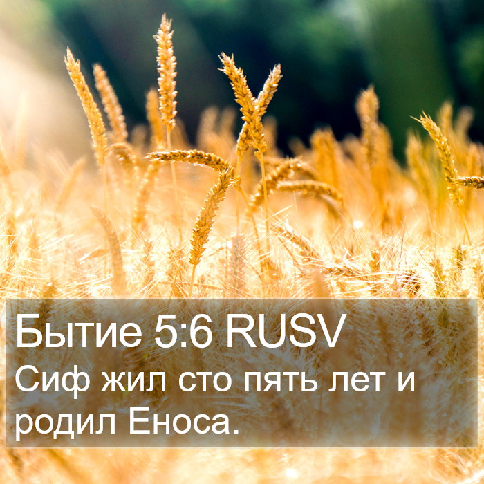 Бытие 5:6 RUSV Bible Study