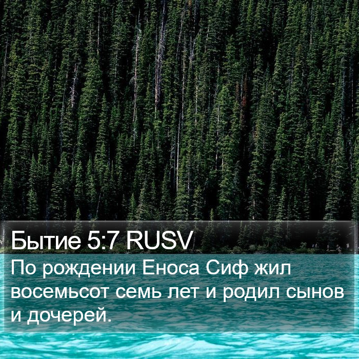 Бытие 5:7 RUSV Bible Study