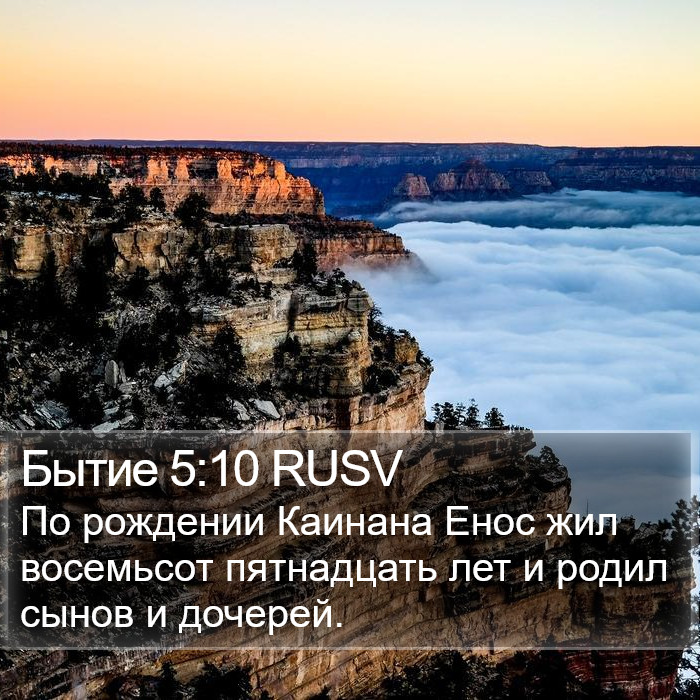 Бытие 5:10 RUSV Bible Study