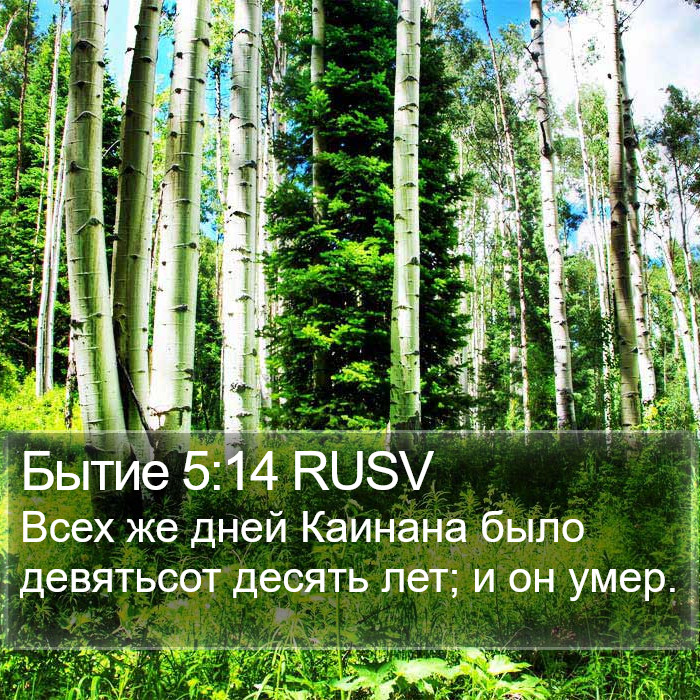 Бытие 5:14 RUSV Bible Study