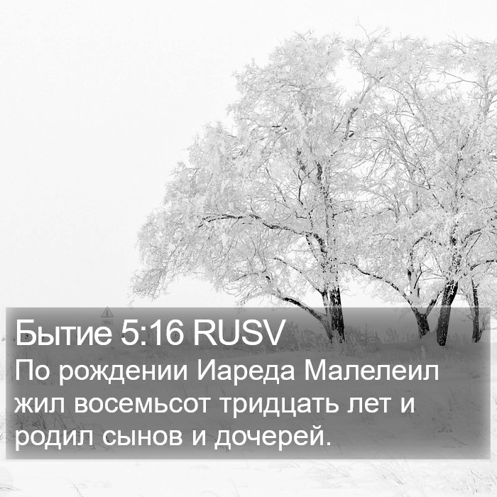 Бытие 5:16 RUSV Bible Study