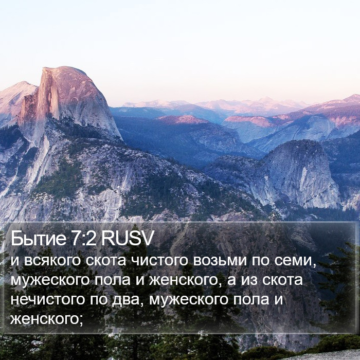 Бытие 7:2 RUSV Bible Study