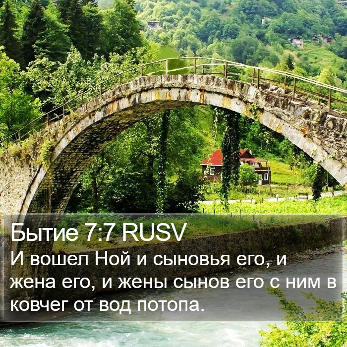 Бытие 7:7 RUSV Bible Study