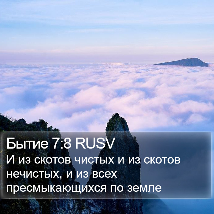 Бытие 7:8 RUSV Bible Study