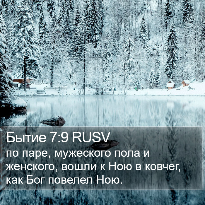 Бытие 7:9 RUSV Bible Study