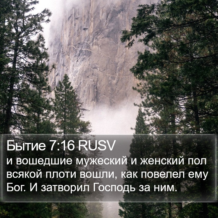 Бытие 7:16 RUSV Bible Study