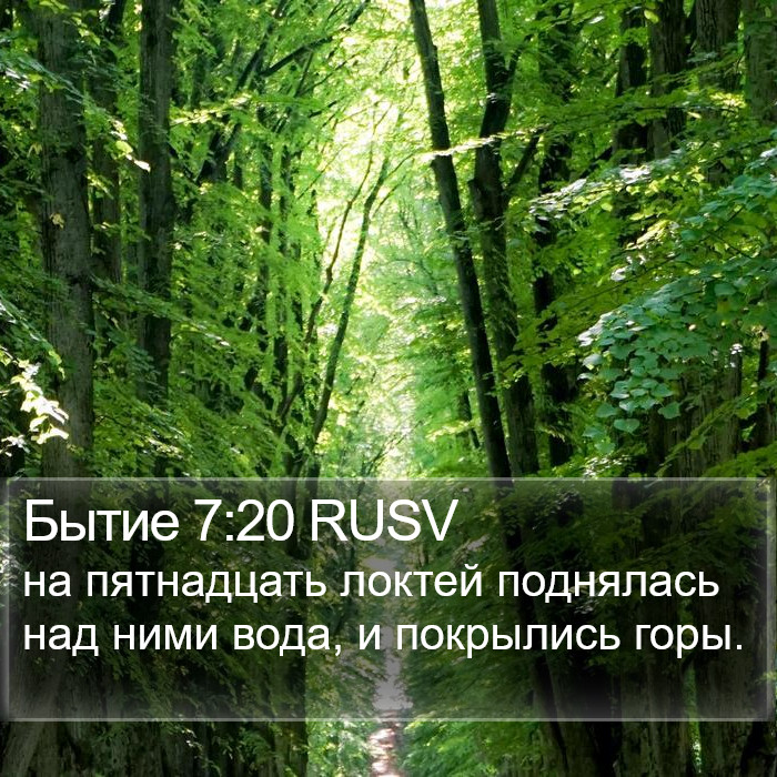 Бытие 7:20 RUSV Bible Study