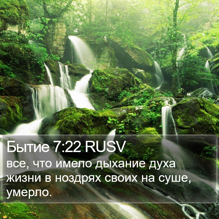 Бытие 7:22 RUSV Bible Study