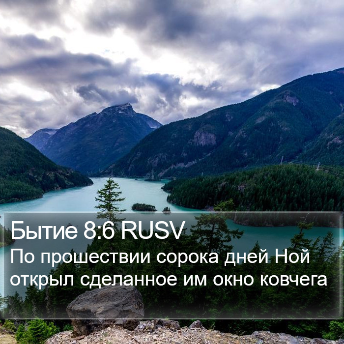 Бытие 8:6 RUSV Bible Study