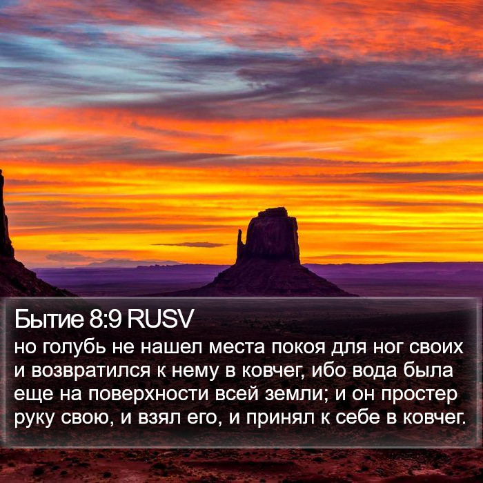 Бытие 8:9 RUSV Bible Study