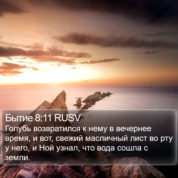 Бытие 8:11 RUSV Bible Study