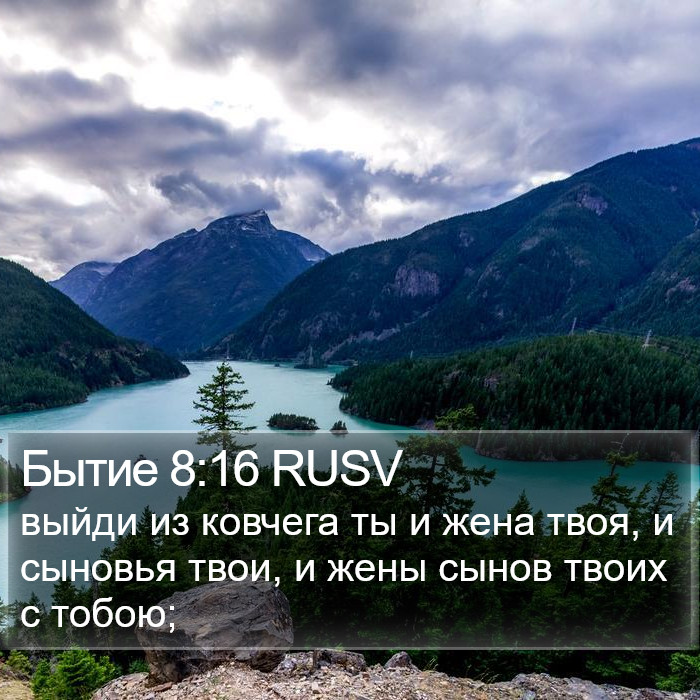 Бытие 8:16 RUSV Bible Study