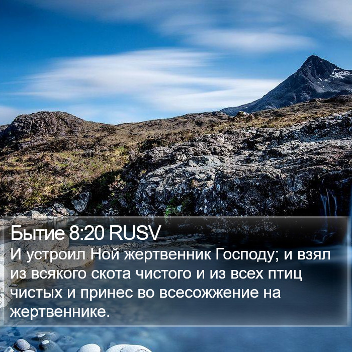 Бытие 8:20 RUSV Bible Study