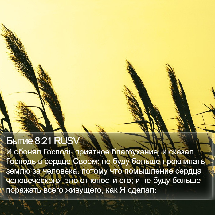 Бытие 8:21 RUSV Bible Study