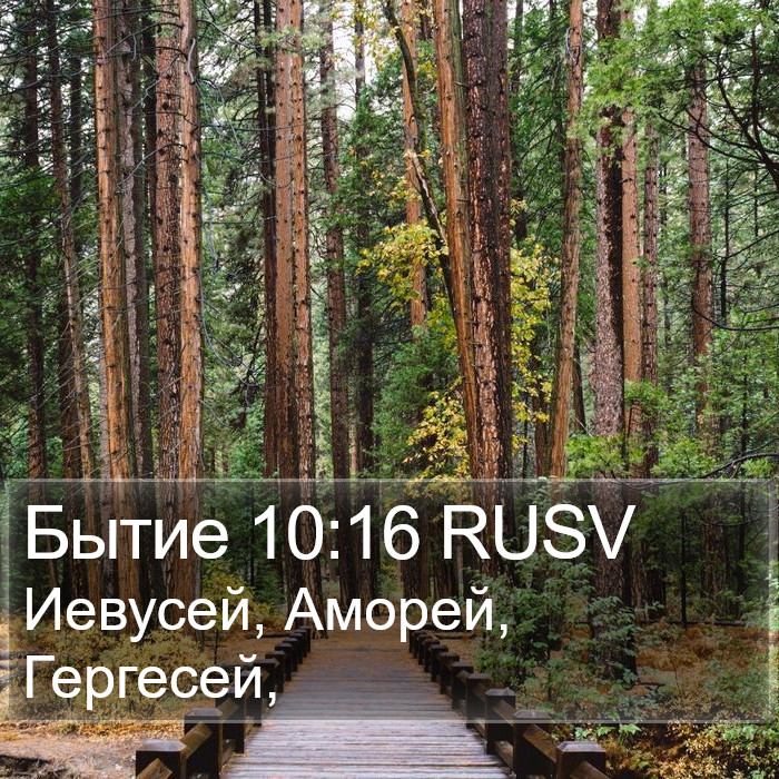Бытие 10:16 RUSV Bible Study