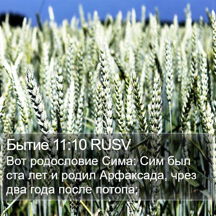 Бытие 11:10 RUSV Bible Study