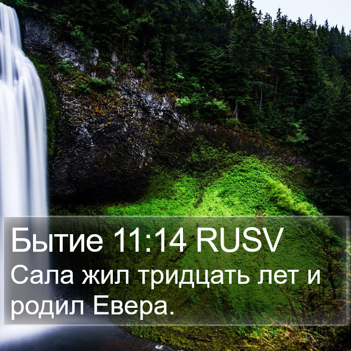 Бытие 11:14 RUSV Bible Study