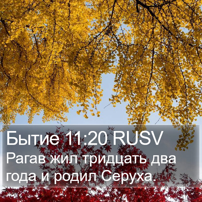 Бытие 11:20 RUSV Bible Study