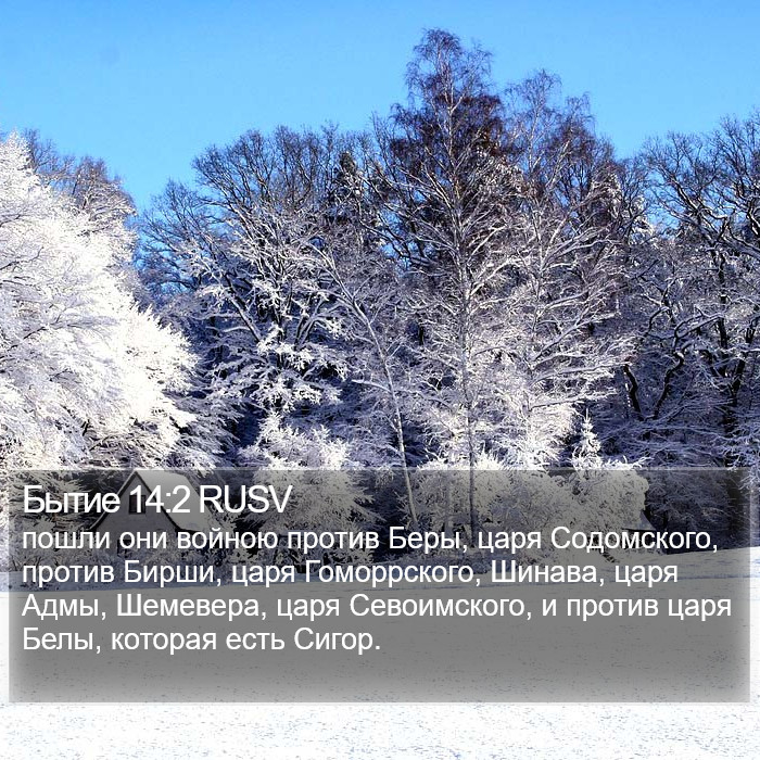 Бытие 14:2 RUSV Bible Study