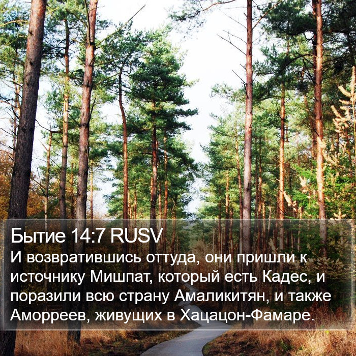 Бытие 14:7 RUSV Bible Study