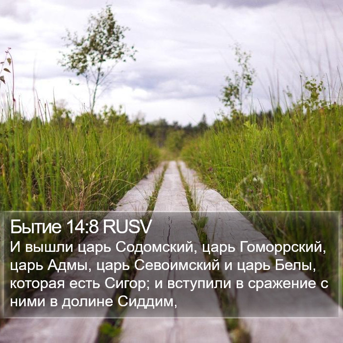Бытие 14:8 RUSV Bible Study
