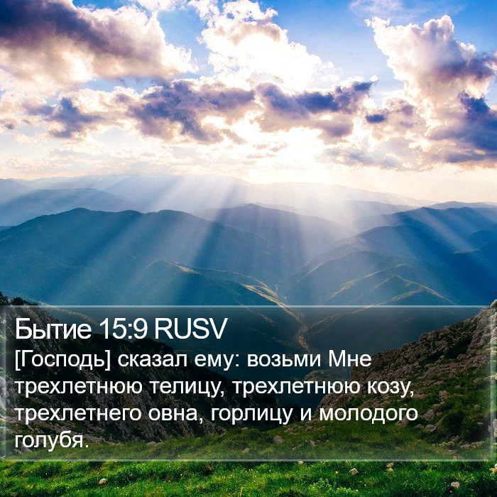 Бытие 15:9 RUSV Bible Study