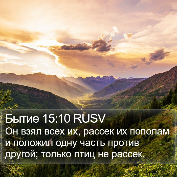 Бытие 15:10 RUSV Bible Study