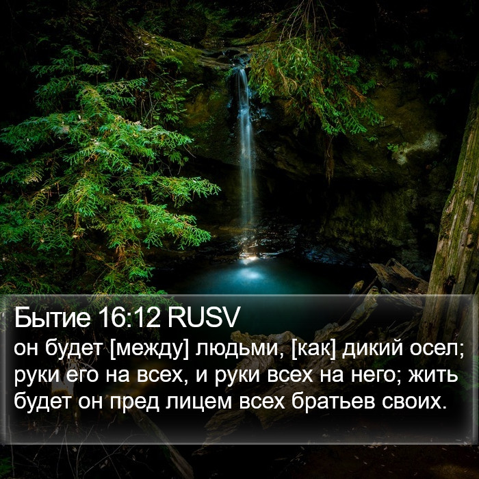 Бытие 16:12 RUSV Bible Study
