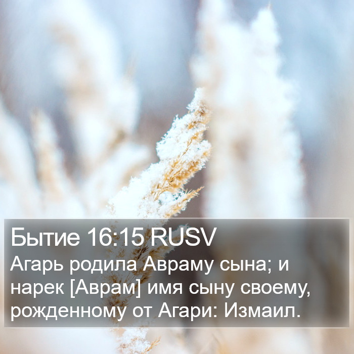 Бытие 16:15 RUSV Bible Study