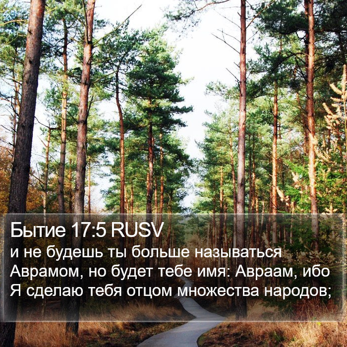 Бытие 17:5 RUSV Bible Study