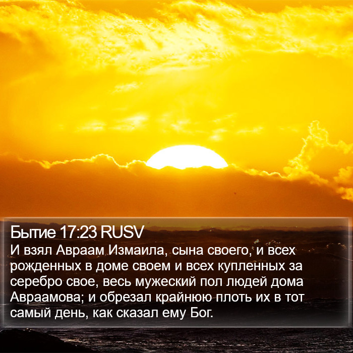 Бытие 17:23 RUSV Bible Study